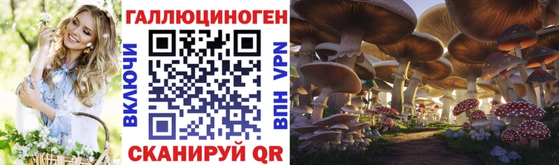 закладки  hydra вход  Псилоцибиновые грибы Magic Shrooms  Юрьевец 