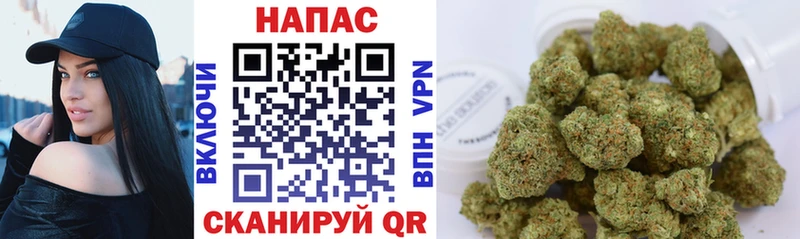 Бошки Шишки VHQ  как найти закладки  hydra сайт  Юрьевец 